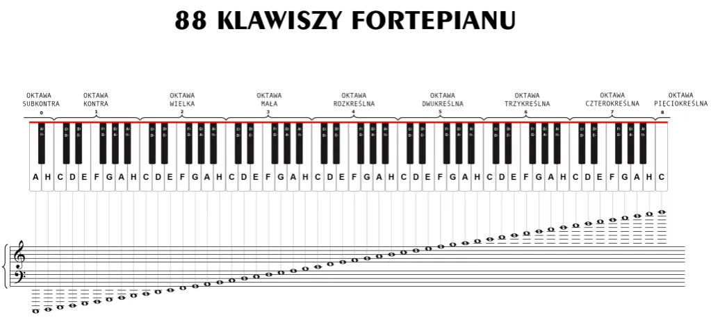 Zdjęcie Nuty dla początkujących - praktyczny sposób na naukę czytania muzyki