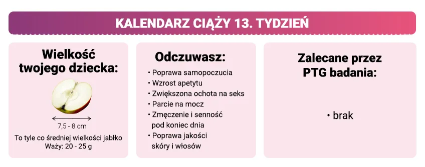 Zdjęcie Jak wyglądają badania prenatalne w 13 tygodniu ciąży i co warto wiedzieć