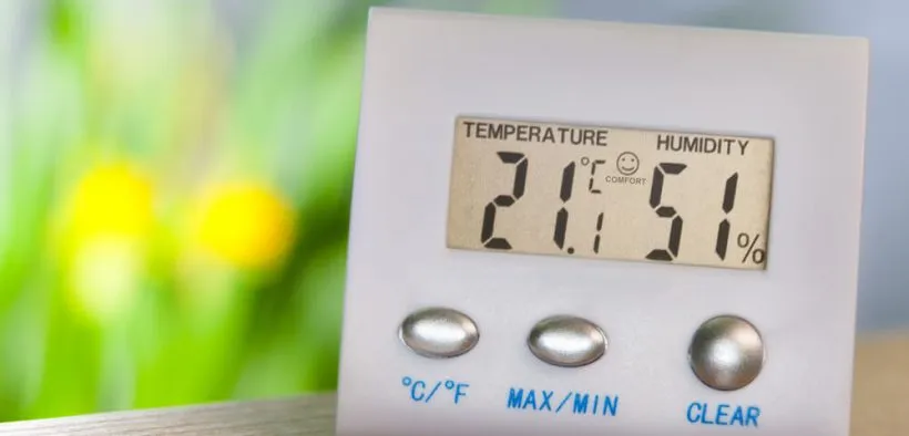 Zdjęcie Jak zwiększyć wilgotność w terrarium? Sprawdzone metody i porady
