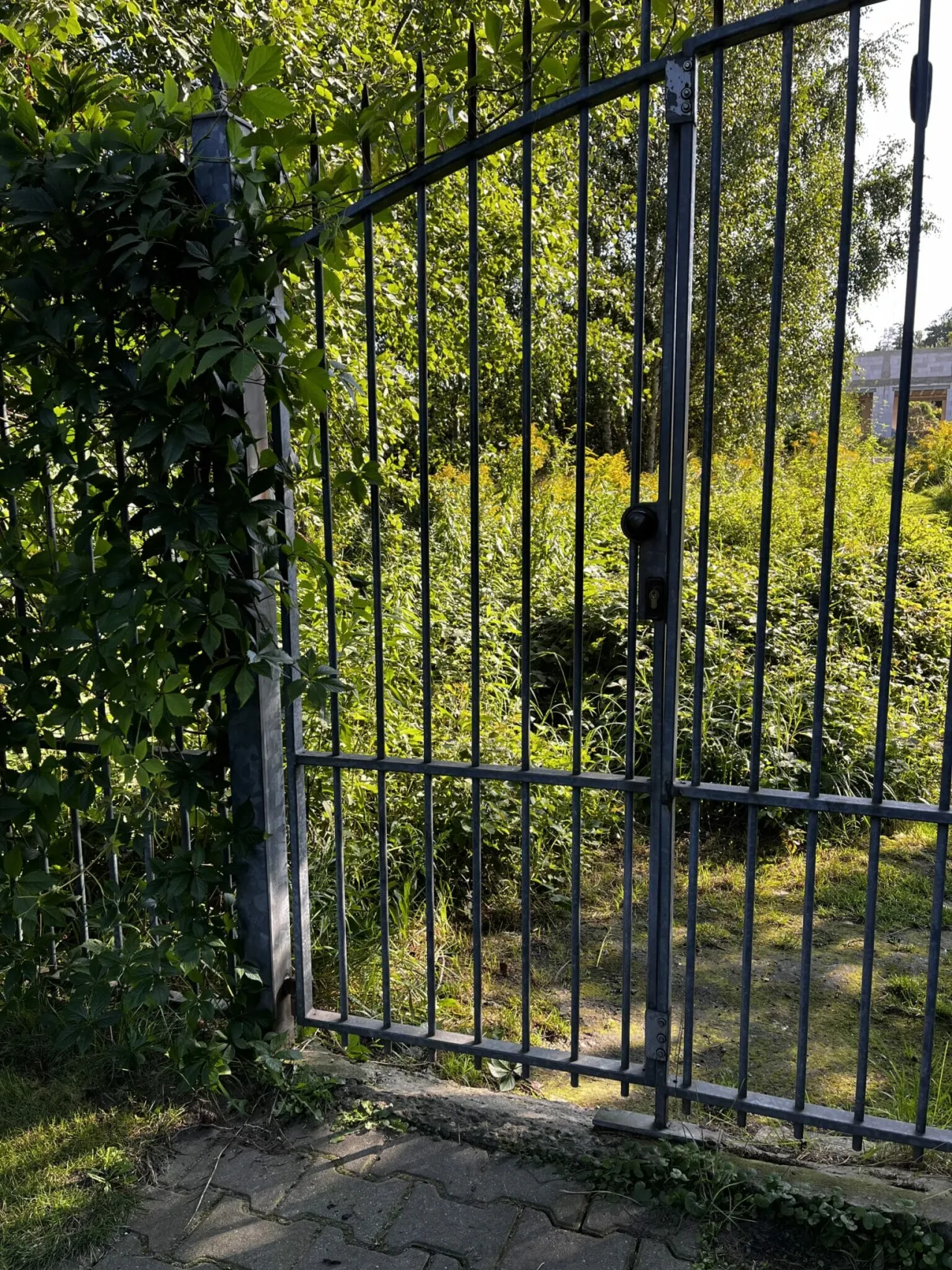 Zdjęcie Jak skutecznie wyczyścić metalowe ogrodzenie - sprawdzone metody