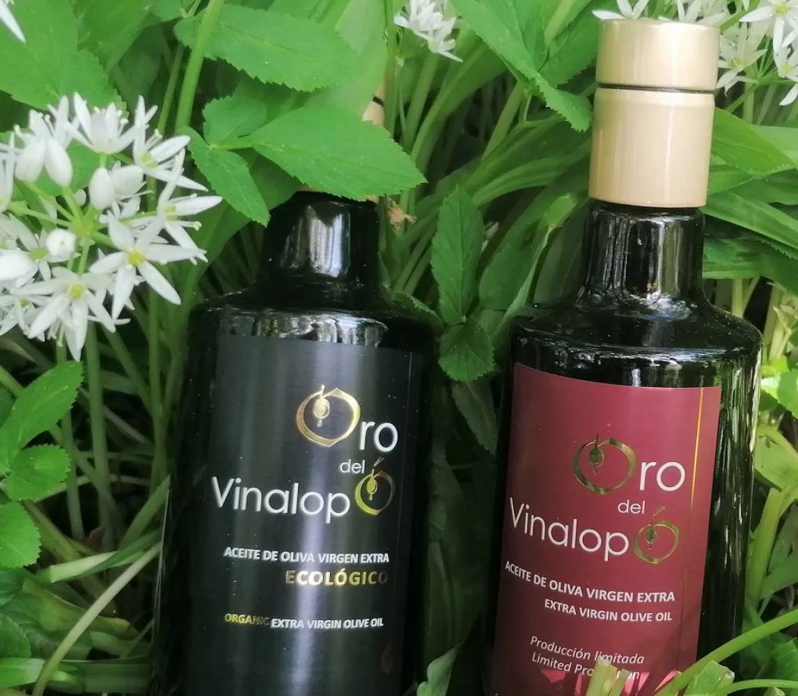 Zdjęcie Oliwa z oliwek: tuczy czy odchudza? Rozprawiamy się z mitem!