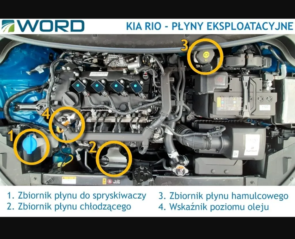 Zdjęcie Płyny w Kia Rio: Wszystko co musisz wiedzieć o konserwacji