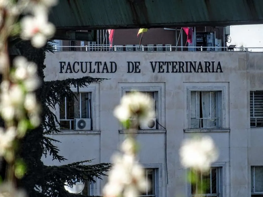 Zdjęcie Facultad de Veterinaria UCM: Historia, Programas y Servicios Esenciales