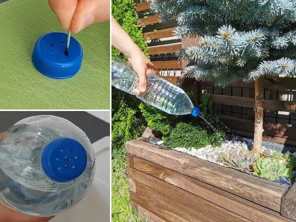 Zdjęcie Poznaj kreatywne sposoby na wykorzystanie butelek plastikowych w ogrodzie
