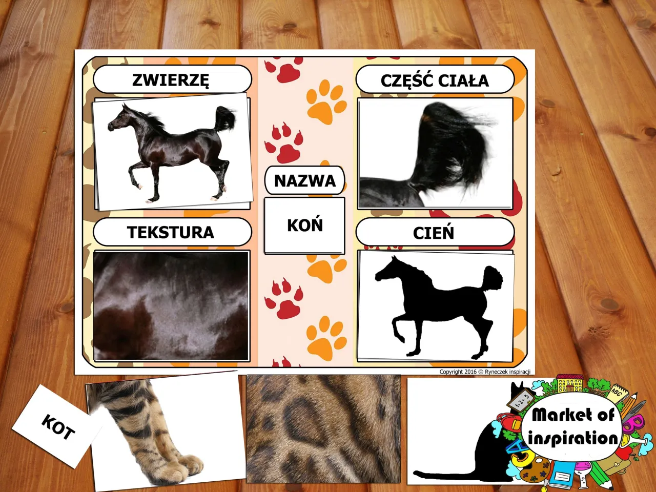 Zdjęcie Poznaj najdziwniejsze nazwy zwierząt: od świnki morskiej po zyzusia tłuściocha