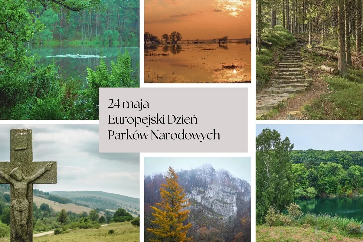 Zdjęcie Gdzie powstał pierwszy park narodowy na świecie i dlaczego to ważne