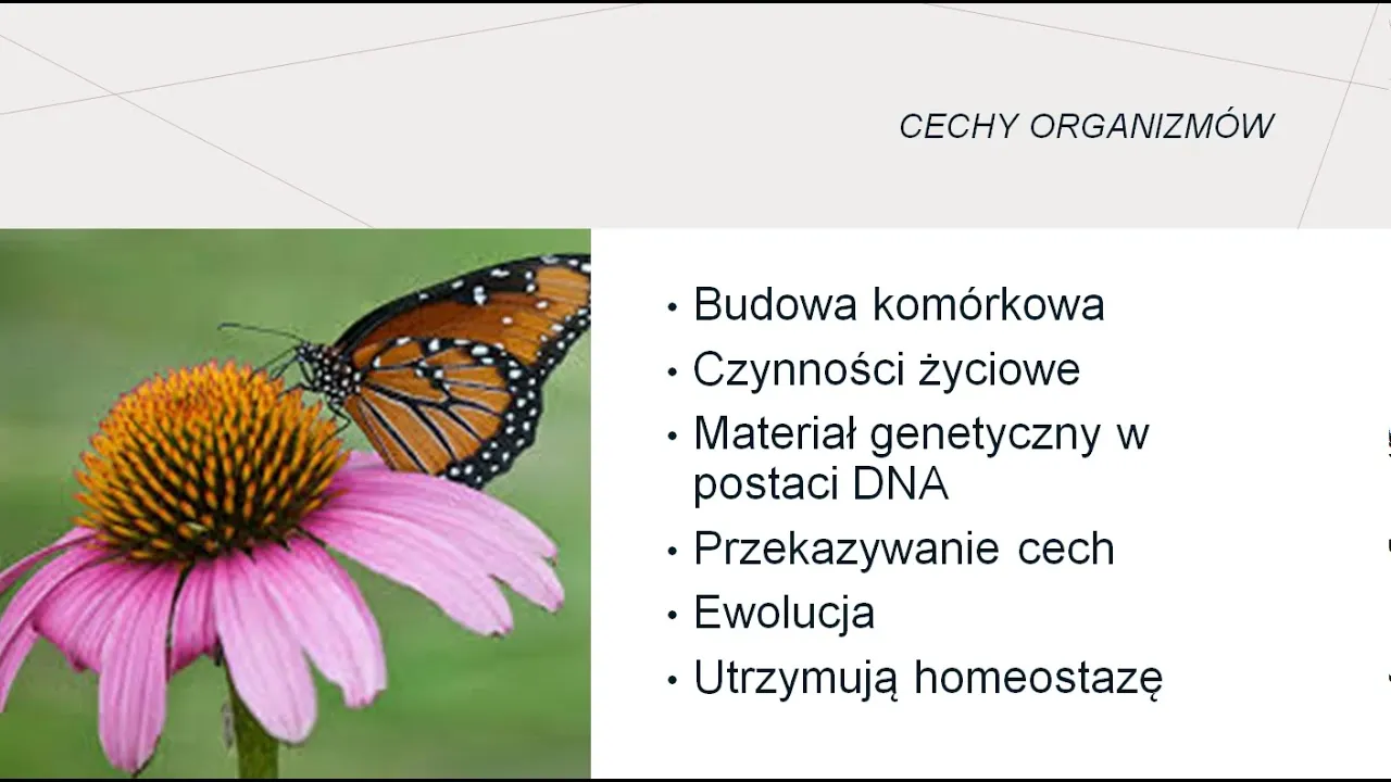 Zdjęcie Jakie są dziedziny biologii? Poznaj główne obszary nauk biologicznych i ich zastosowania