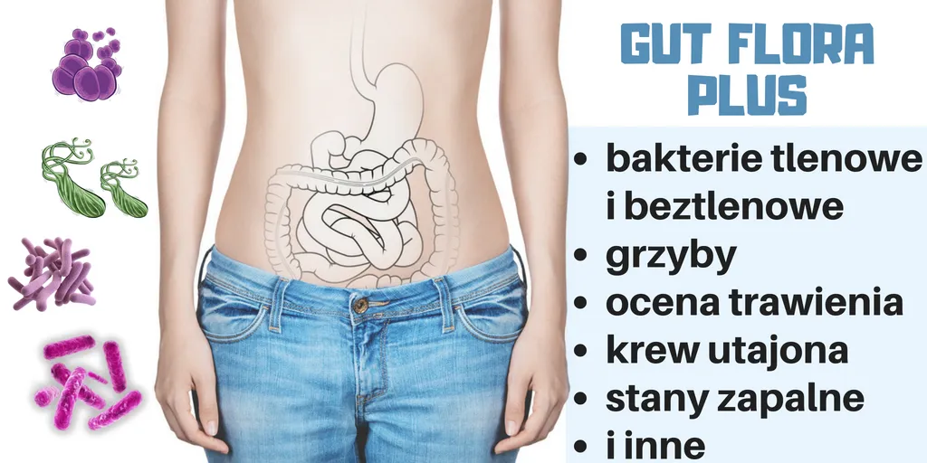 Zdjęcie Jakie badania są potrzebne do diagnozy grzybicy jelit? Sprawdź!