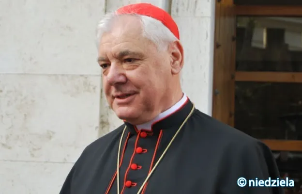 Zdjęcie Kardynał Gerhard Ludwig Müller: kontrowersje, teologia i wpływ na Kościół