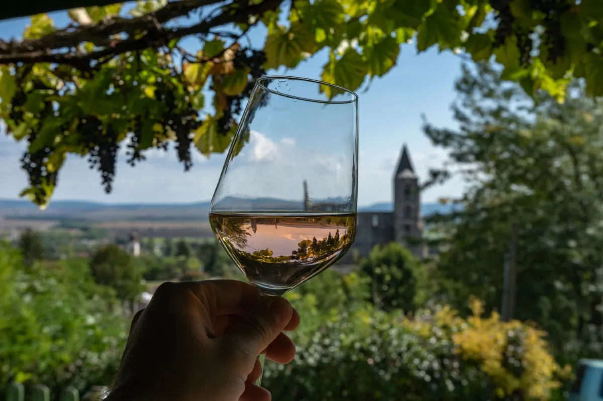 Zdjęcie Czy wino mszalne ma alkohol? Odkryj jego właściwości i skład