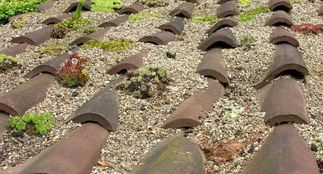 Zdjęcie Jak wykorzystać stare dachówki w ogrodzie - kreatywne pomysły i inspiracje