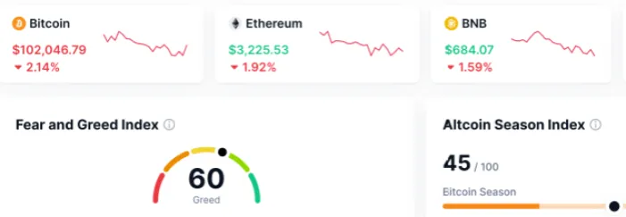 Zdjęcie Sekrety kryptowalut 100x: Jak je znaleźć i uniknąć strat?