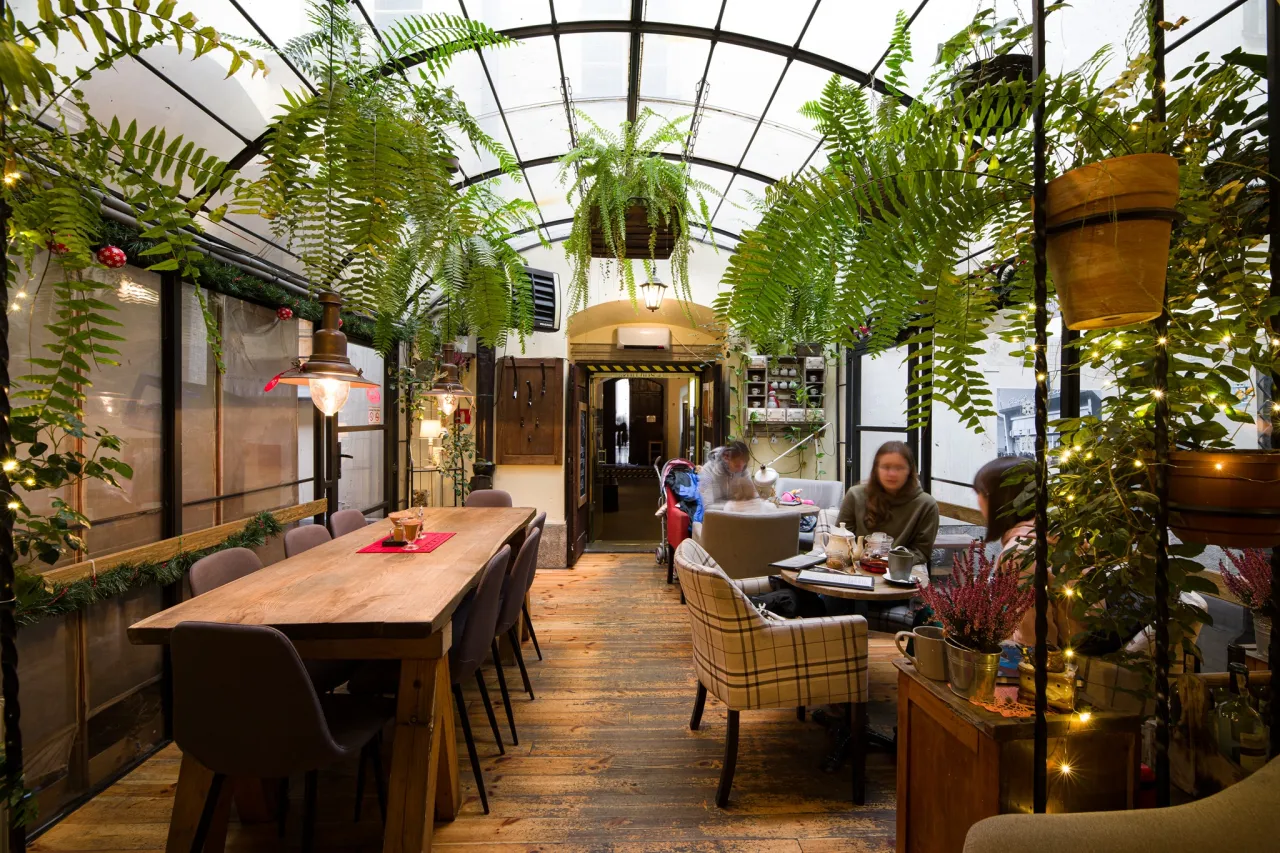 Zdjęcie Gdzie zjeść w Krakowie Stare Miasto? Odkryj najlepsze restauracje