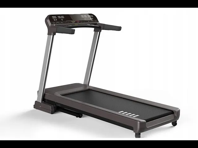 Zdjęcie Hertz Fitness – co to za firma i dlaczego warto ją poznać?