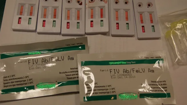 Zdjęcie Test FKT: Klucz do oceny siły i funkcji mięśni w rehabilitacji