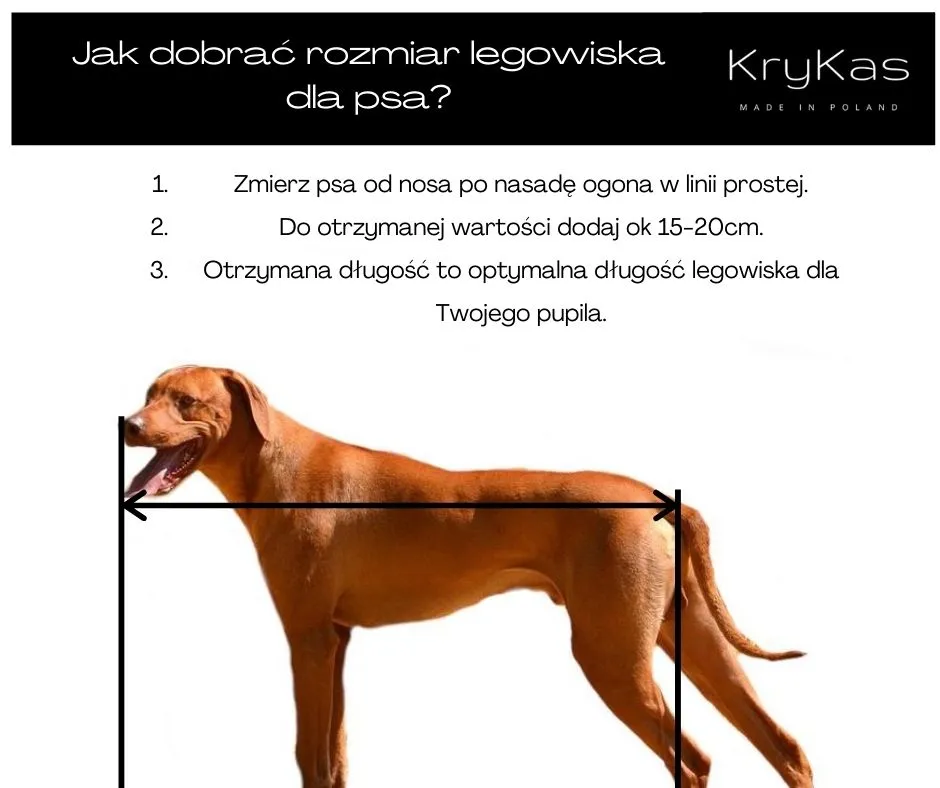 Zdjęcie Jaki rozmiar legowiska dla psa? Wybierz idealne dla swojego pupila