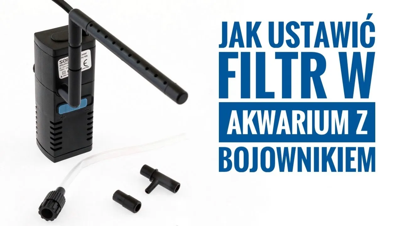 Zdjęcie Jak ustawić filtr zewnętrzny w akwarium - krok po kroku bez błędów