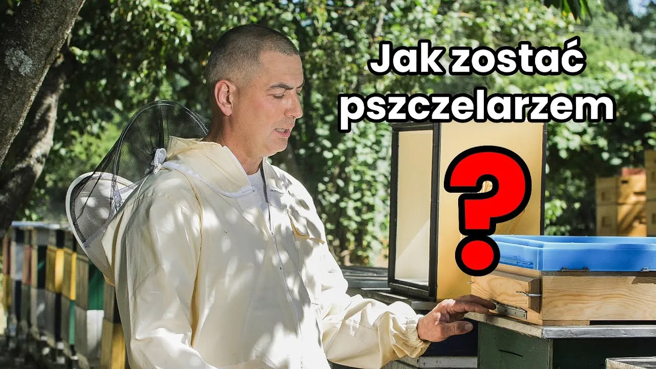 Zdjęcie Jak zacząć hodowlę pszczół i uniknąć najczęstszych błędów