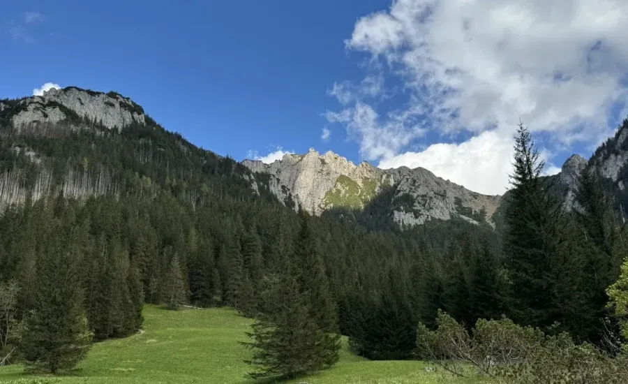Zdjęcie Dolina Kościeliska: Atrakcje, Szlaki i Praktyczny Przewodnik
