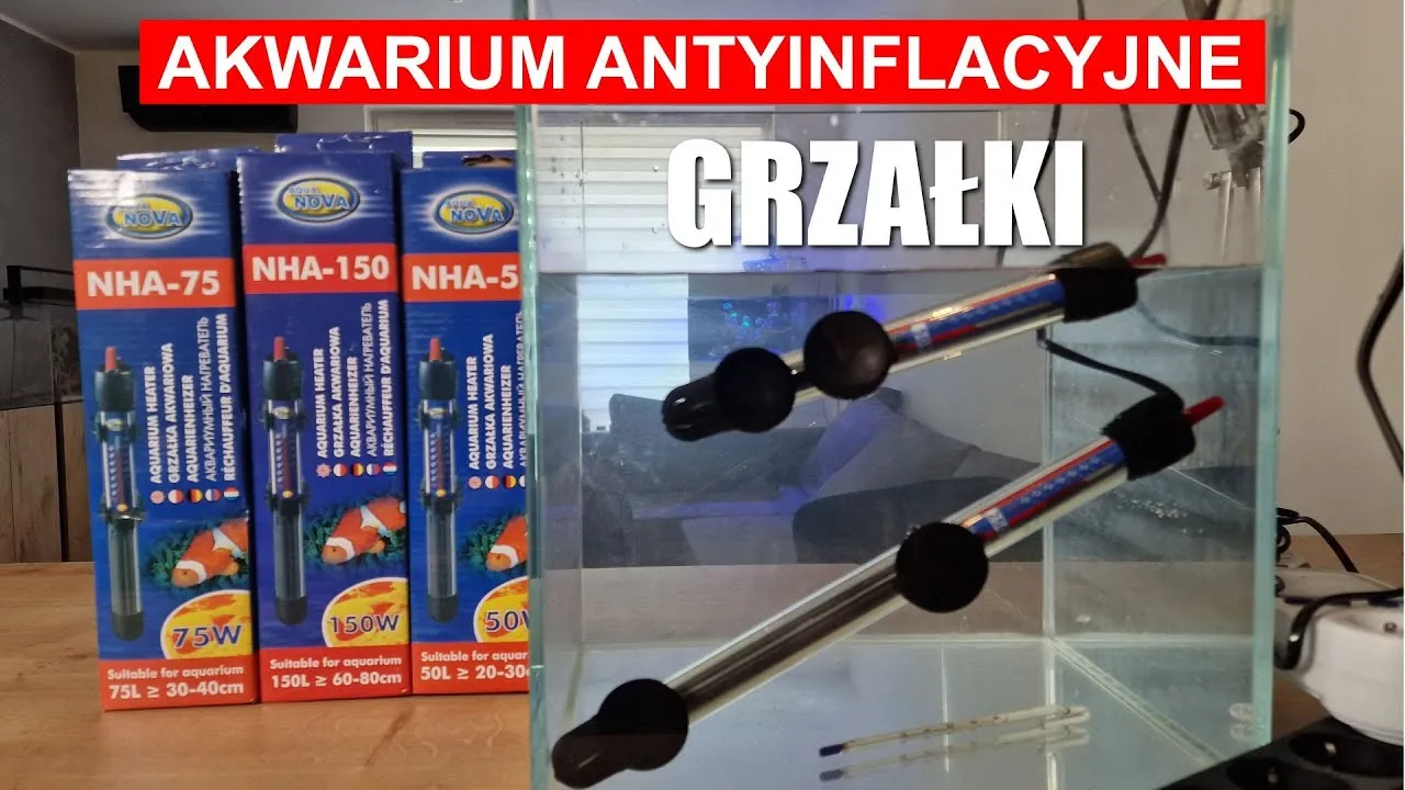 Zdjęcie Jak zamontować grzałkę w akwarium, aby uniknąć problemów z temperaturą