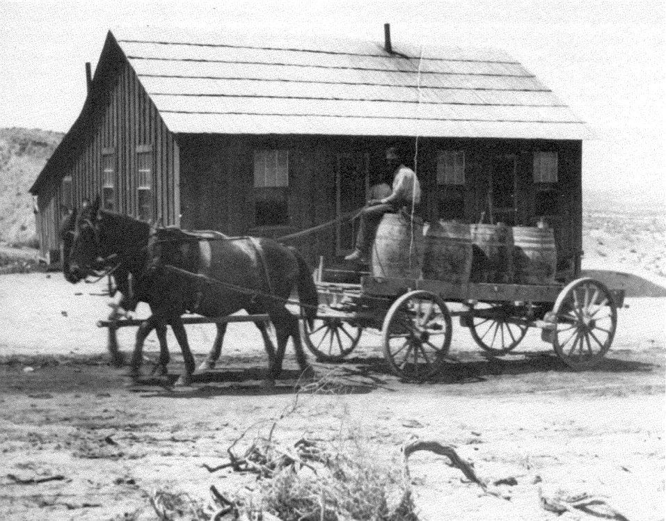 Zdjęcie Koń z wozem: Historia transportu, który zmienił cywilizację