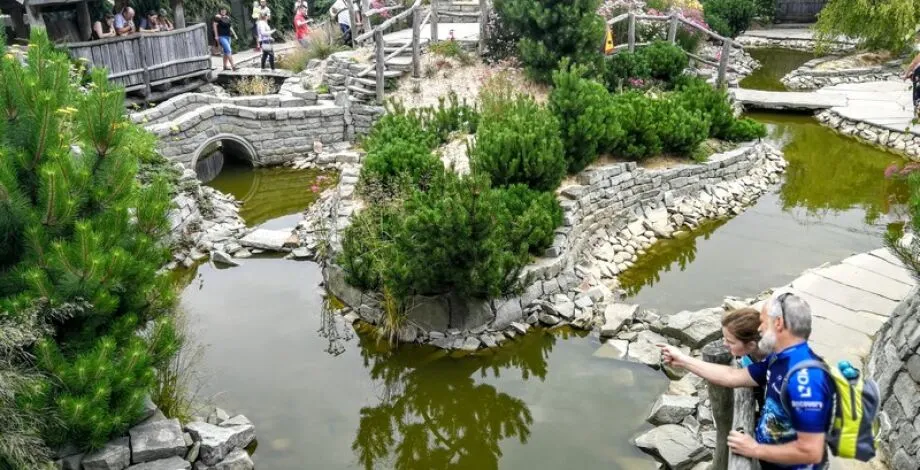 Zdjęcie Co zwiedzić z dzieckiem na Śląsku? Najlepsze miejsca dla rodzin