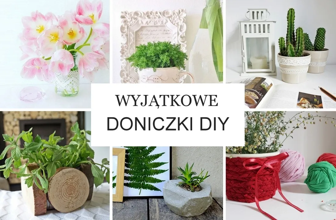 Zdjęcie Twórz piękne wiszące doniczki DIY z łatwych materiałów i technik