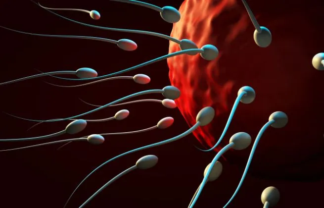 Zdjęcie Kiedy inseminacja ma sens? Zobacz najważniejsze wskazania do zabiegu