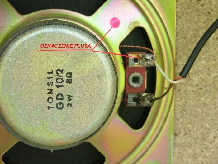 Jak rozpoznać który kabel to plus a który minus w głośnikach?