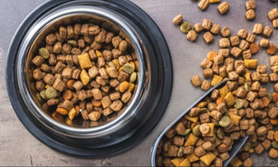 Sucha karma dla psa: zdrowa czy nie? Rozwiewam wątpliwości!