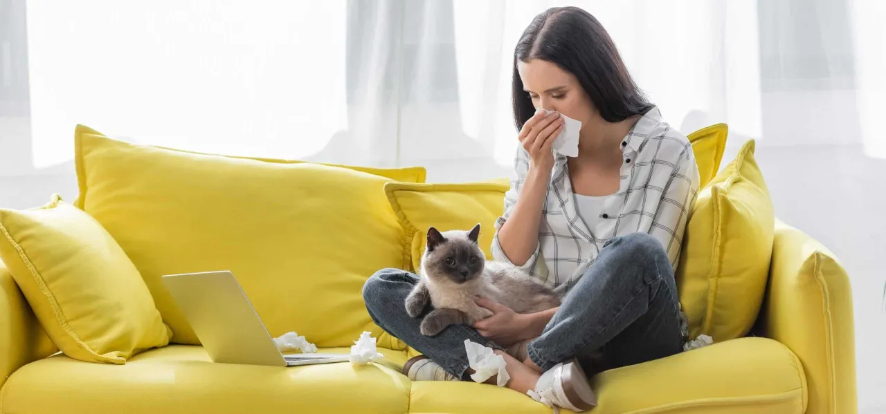 Alergia na sierść kota objawy - jak rozpoznać i co robić?