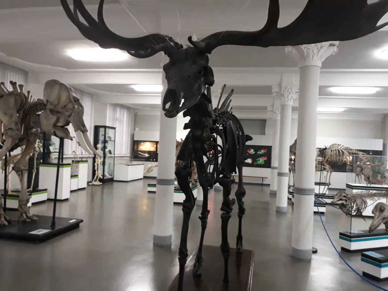 Muzeum Przyrodnicze Wrocław: Przewodnik, ceny, atrakcje