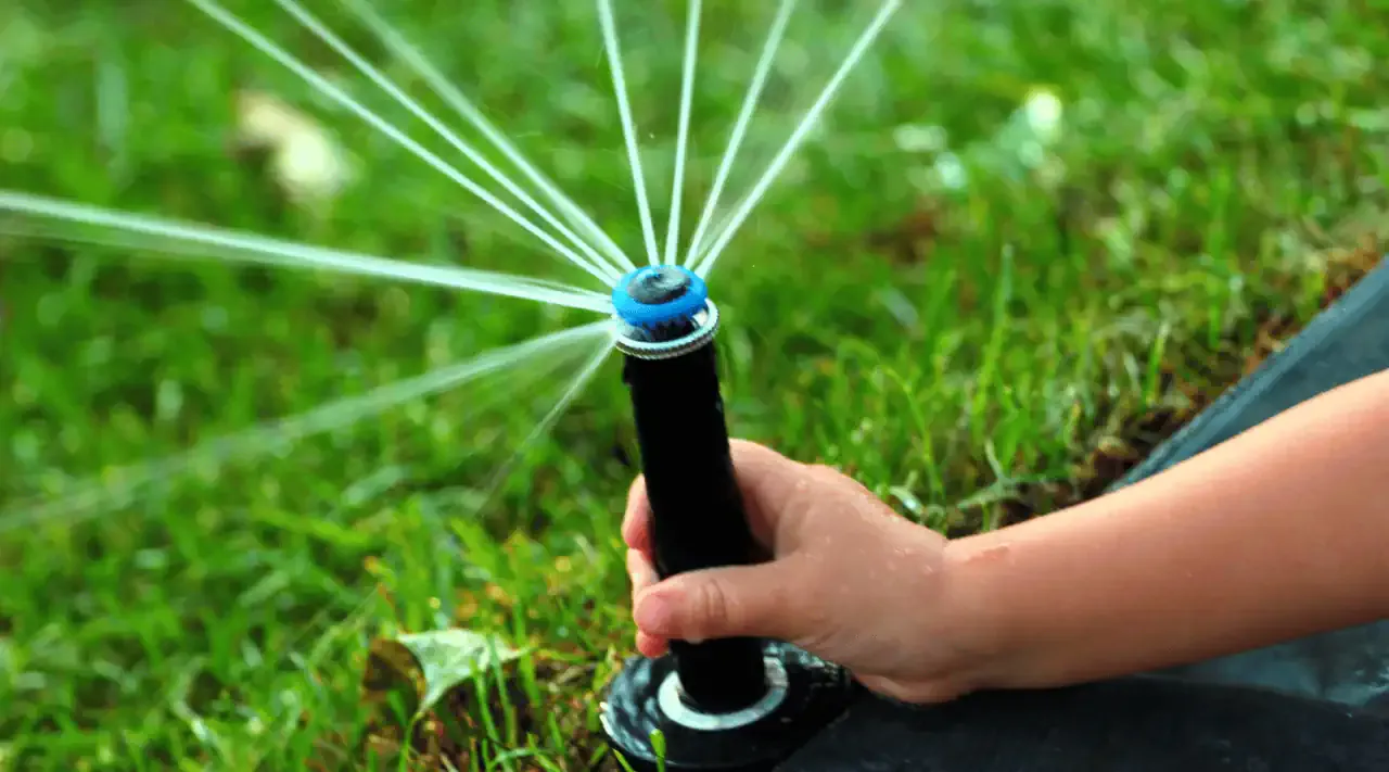 Ile minut podlewać trawnik zraszaczem, aby uniknąć przesuszenia?