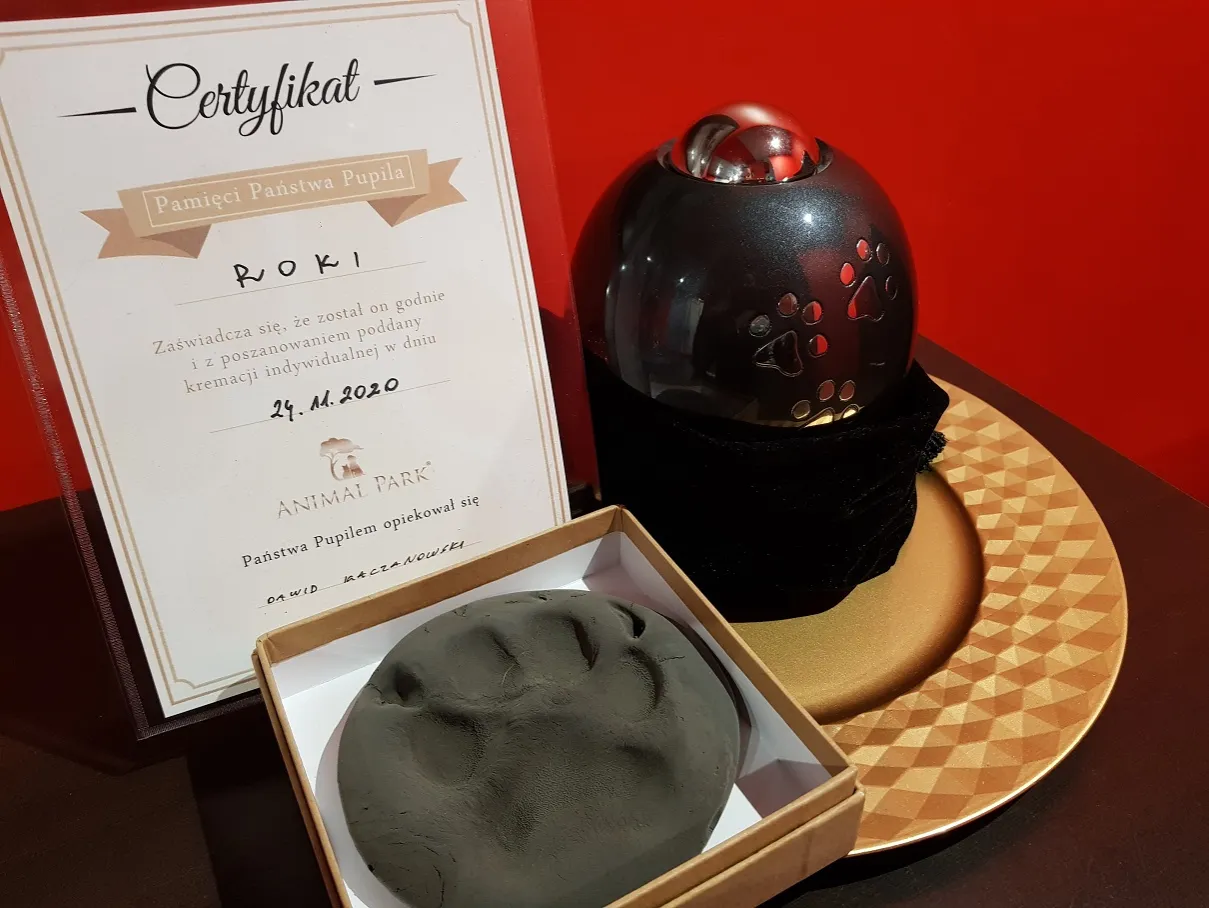 Ile trwa kremacja psa? Poznaj czas i proces spopielenia pupila