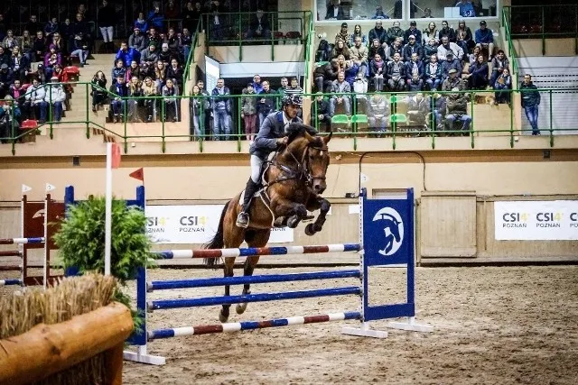 Hipologia i jeździectwo w Poznaniu - poznaj najlepsze programy i kariery Hipologia i jeździectwo w Poznaniu - poznaj najlepsze programy i kariery