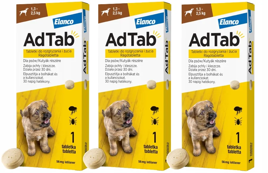 Ile działa tabletka na kleszcze dla psa i kiedy zaczyna chronić?