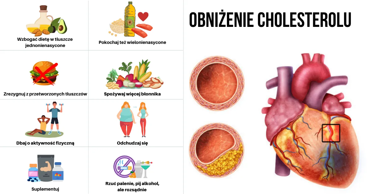 Jaki cholesterol – poznaj jego rodzaje i jak obniżyć ryzyko chorób