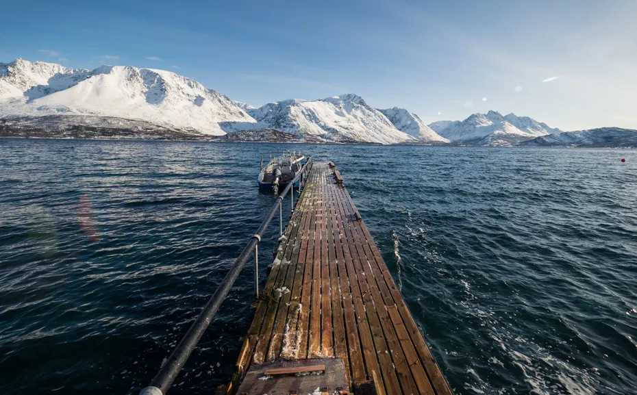 Najlepsze atrakcje w Tromsø, które musisz zobaczyć podczas wizyty