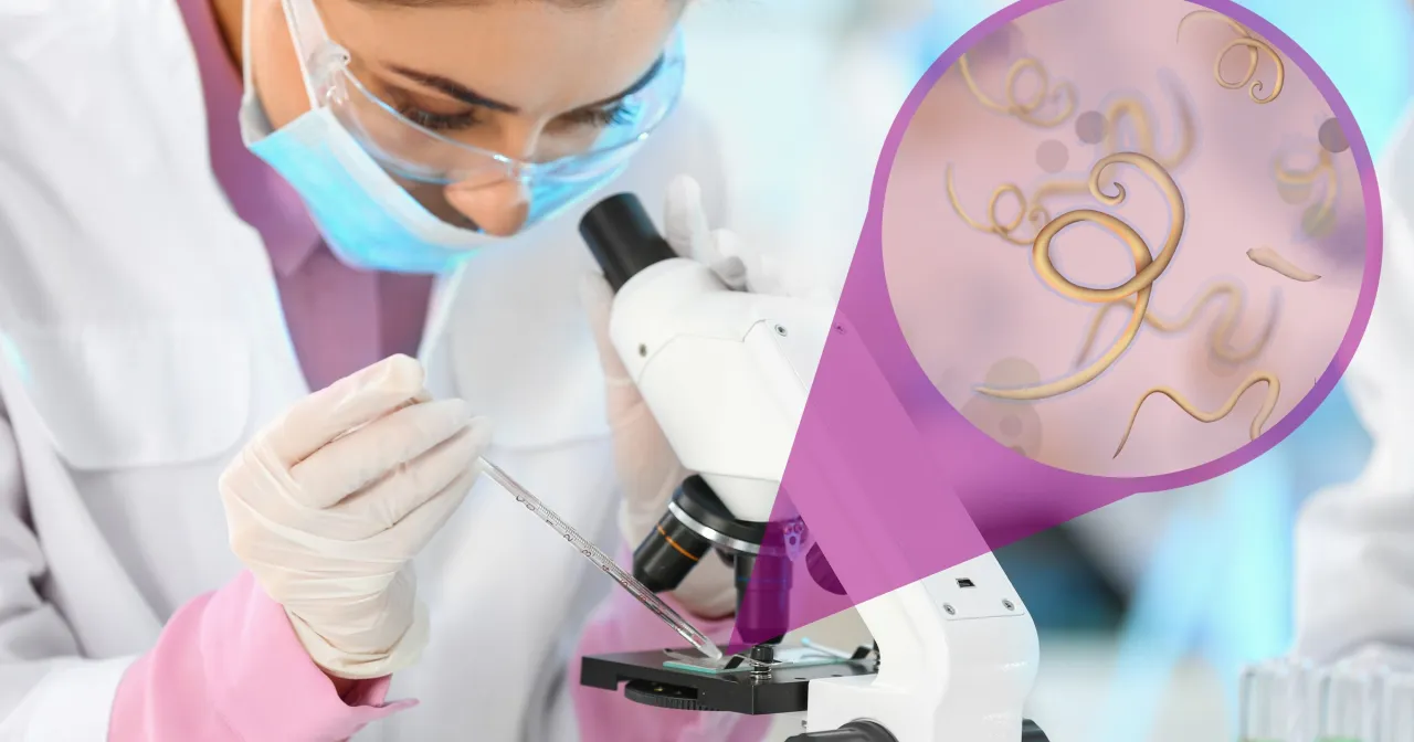 Skuteczne leki na pasożyty - co wybrać, aby uniknąć problemów?