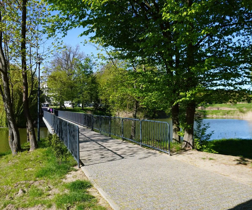 Najlepsze atrakcje w Poniatowej, które musisz zobaczyć z rodziną