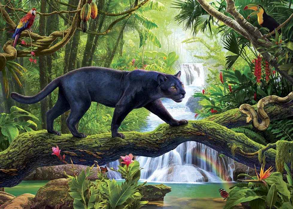 Jak wygląda czarna pantera - tajemnicza bestia z dżungli