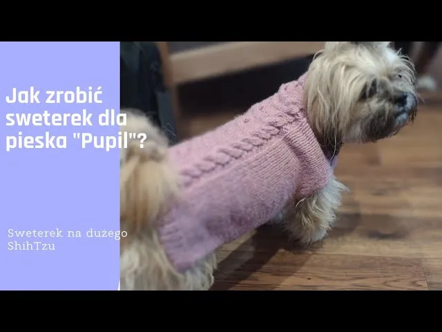 Jak zrobić sweterek dla psa – proste sposoby na ciepłe ubranko