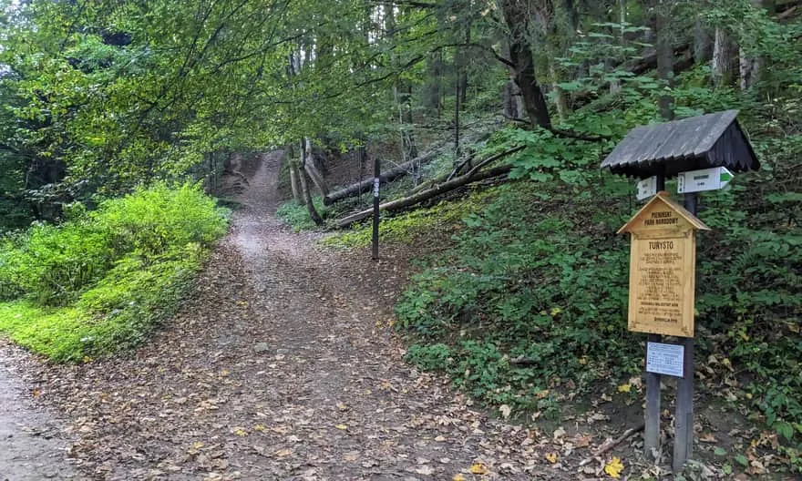 Który szlak na Sokolicę z Krościenka wybrać i dlaczego? Poradnik!