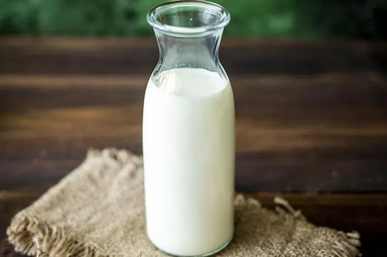 Ile kosztuje litr mleka koziego w skupie? Ceny, które zaskakują rolników