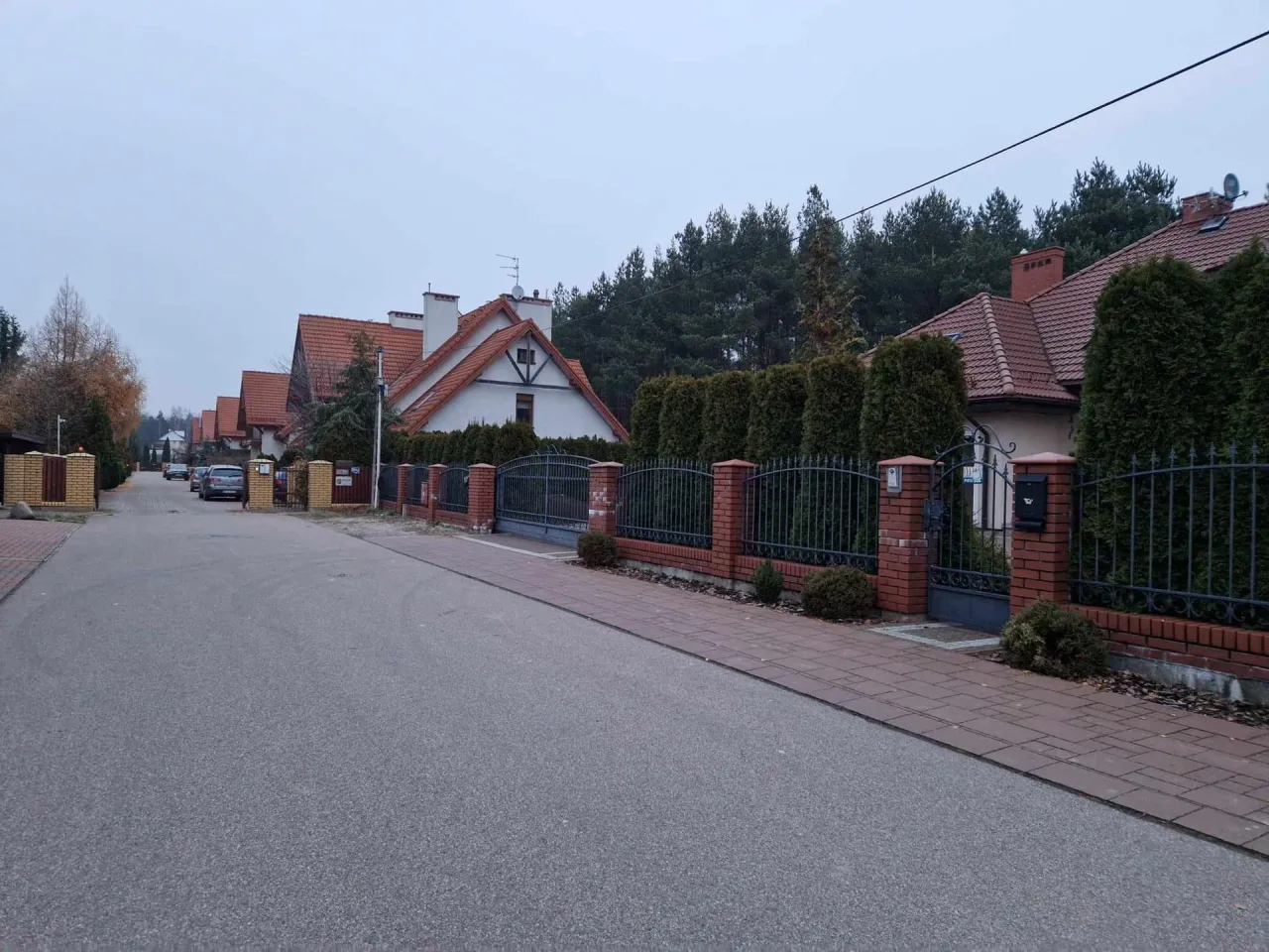 Dom Zenka Martyniuka: Luksusowa Willa i Urokliwy Azyl na Podlasiu