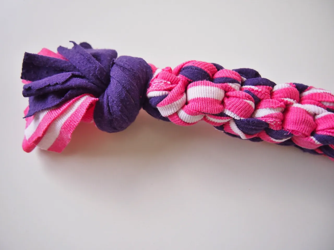 Jak zrobić zabawkę dla psa? DIY pomysły na super zabawę!