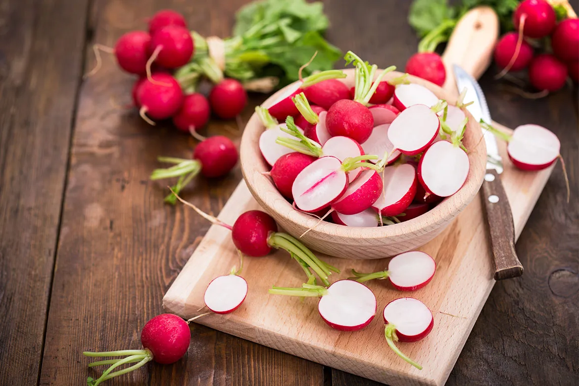 Czy pies może jeść rzodkiewkę? Sprawdź, co musisz wiedzieć!