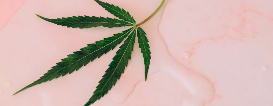 Balsam z konopi na co pomaga - skuteczne wsparcie w bólu i pielęgnacji
