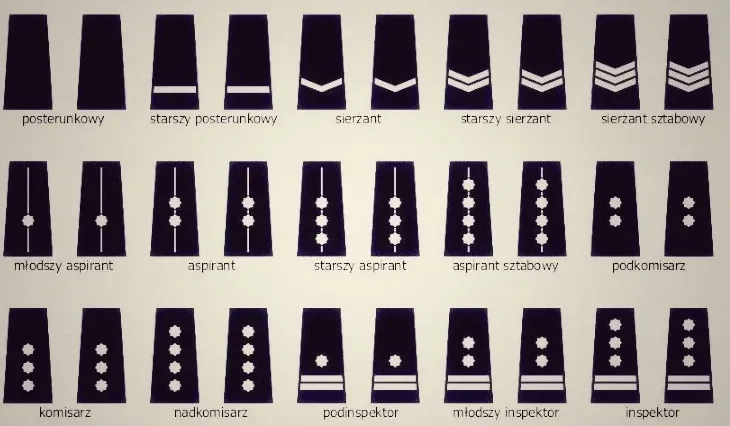Ile zarabia sierżant sztabowy w policji? Zaskakujące fakty o wynagrodzeniu