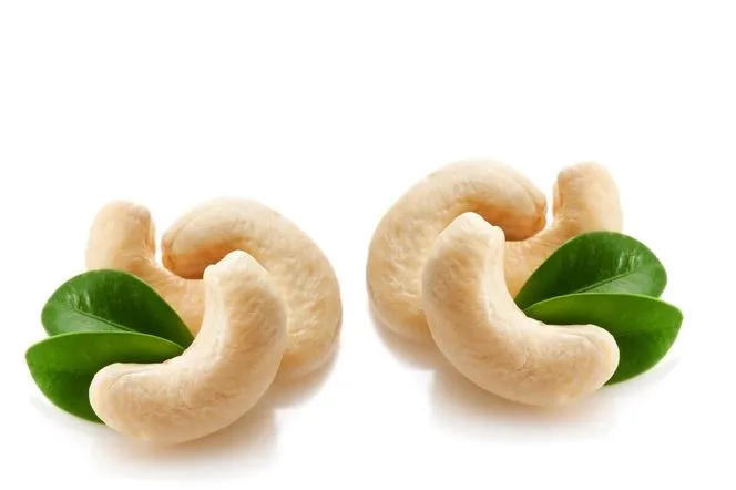 Czy nerkowce tuczą? Odkryj prawdę o ich wpływie na wagę